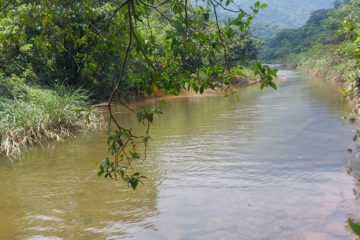 Os nossos rios A importância da preservaçãodas águas