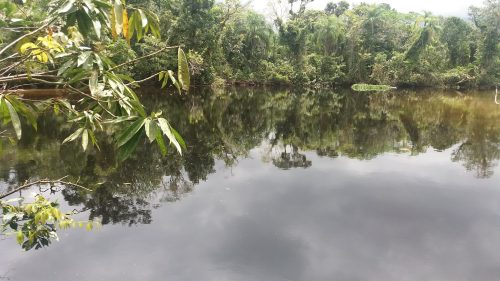 rio Guaratuba