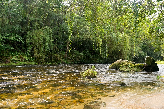 rio Itatinga rio Itatinga